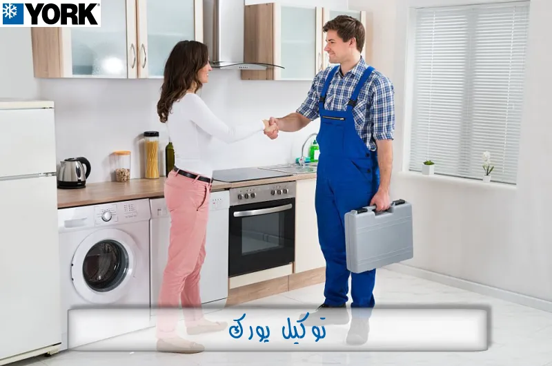 توكيل يورك